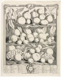 Doze meses de frutas: agosto de 1732.
