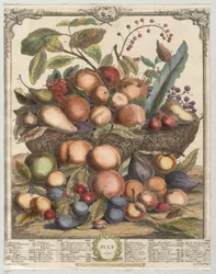 Doze meses de frutas: julho de 1732.