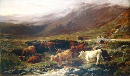 Vacas nas Terras Altas