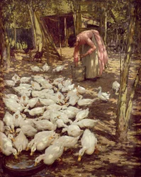 A pequena holding, 1896