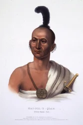 Kai-Pol-E-Quah, Raposa de nariz branco