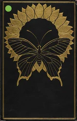 Capa de 