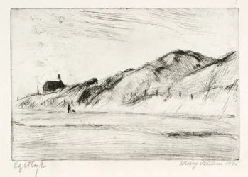 Paisagem de dunas com casa e pessoa