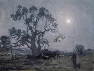 Carvalho de Abraão