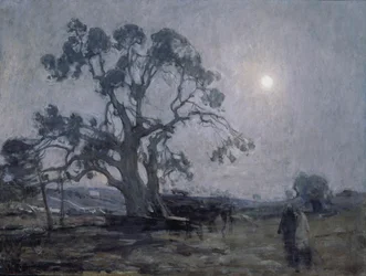 Carvalho de Abraão, 1905.