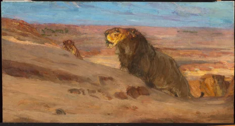 Leões no deserto