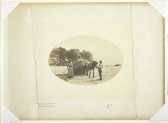 Nas encostas de Cader-Idris, The Last Load of Hay, 1883.