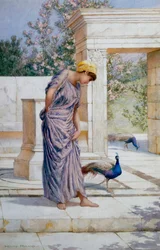 "O verão chegou" Uma jovem vestida e um pavão num terraço de mármore antigo. Pintura de Henry Ryland (1856-1924) (classicismo)
