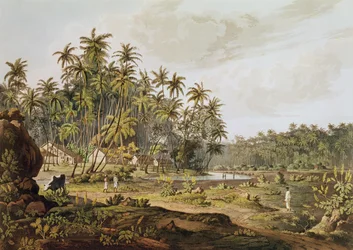 Veja perto de Point du Galle, Ceilão, gravado por Daniel Havell (1785-1826) publicado em 1809