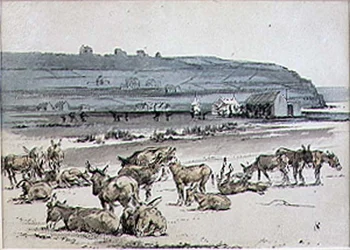 Donkeys on the Golf Course, ilustração da revista 