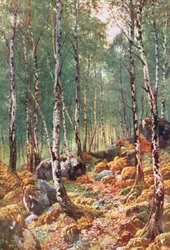 Um bosque de bétulas na primavera, junto a Loch Maree, Ross-Shire (litografia a cores)