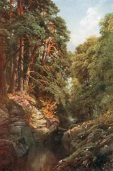 A Wooded Gorge, Killin, Perthshire (litografia a cores)