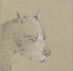 Cabeça e ombros de um cão boxer (grafite aumentado com branco sobre papel)
