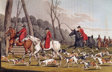 Caça: «A caça à raposa». Litografia inglesa de Henri Alken (1774-1850), século XIX, Paris, B.N.
