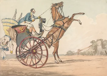 «Descobertas desportivas, ou as misérias de conduzir»: ... Para cima e para baixo, ou o esforço de descobrir de que modo o seu cavalo tende a cair, para trás ou para a frente