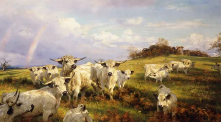 Gado selvagem de Chartley, castelo de Chartley além, 1902