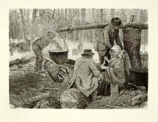 Cozinhar um jantar de acampamento