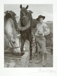 Cavalos no bebedouro