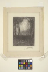 Em Os Adirondacks (tinta)