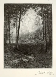 Nas Adirondacks