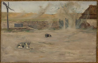 Baço