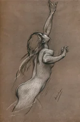 Estudo sobre peixes voadores, c1910