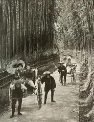 Uma Avenida de Bambu em Kyoto, 1910.
