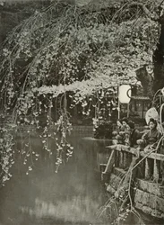 Cherry-Blossom Time no Japão, 1910.