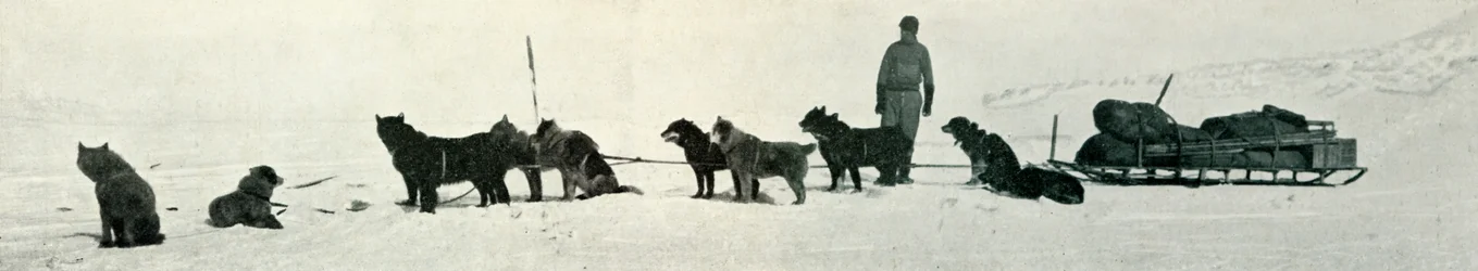 Cães com lojas prestes a deixar Hut Point, c1911, 1913