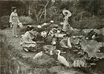 Em Lotus-Land, 1910.