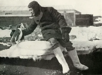 Lieut. Rennick e um pinguim amigável, 1911, 1913