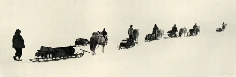 Pôneis em março de 1911, 1913