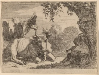 Vacas