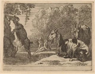 Cabras