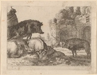 Porcas