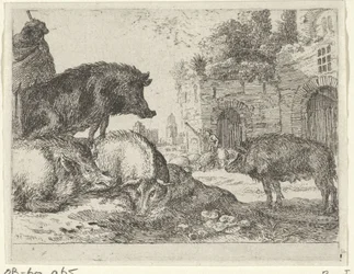 Suínos
Paisagens com animais (título da série)