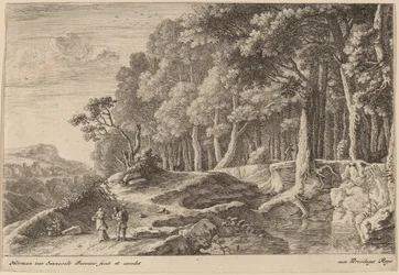 Bosques margeados por um riacho