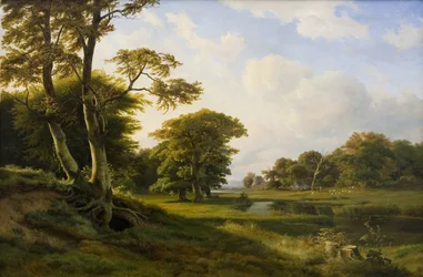 Paisagem florestal em Hellebæk. Cair