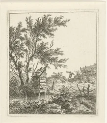 Paisagem com larvas de madeira