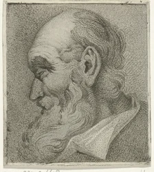 Retrato de uma barba cinzenta, en profil