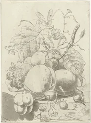 Fruta e um ramo com uma borboleta