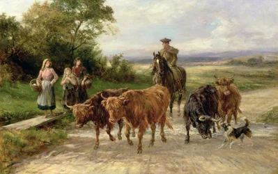O drover bonito, 1904
