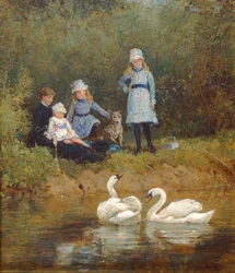 Assistindo os cisnes