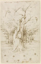 The Wood Has Ears, The Field Has Eyes par Bosch, Hieronymus (c. 1450-1516). Caneta, tinta indígena castanha sobre papel, tamanho : 20,2x12,7, c. 1500-1515, Staatliche Museen, Berlim