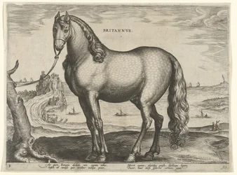 Cavalo da Bretanha (Brittanus)
Britannvs (título sobre o objecto)
Raças de cavalos dos estábulos reais de Don Juan da Áustria (título da série)
Equile Ioannis Austriaci Caroli (título da série)