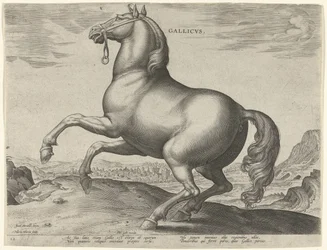 Cavalo de França (Gallicus)
Gallicvs (título sobre o objecto)
Raças de cavalos dos estábulos reais de Don Juan da Áustria (título da série)
Equile Ioannis Austriaci Caroli (título da série)