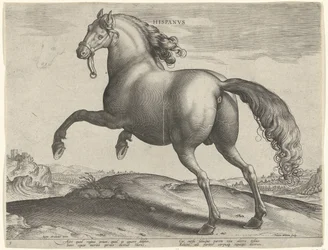 Cavalo de Espanha (Hispanus Alter)
Hispanvs (título sobre o objecto)
Raças de cavalos dos estábulos reais de Don Juan da Áustria (título da série)
Equile Ioannis Austriaci Caroli (título da série)