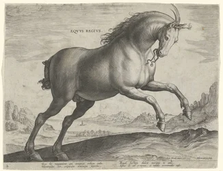 Cavalo da raça Equus Regius (o Real)
Eqvvs Regivs (título sobre o objecto)
Raças de cavalos dos estábulos reais de Don Juan da Áustria (título da série)
Equile Ioannis Austriaci Caroli (título da série)