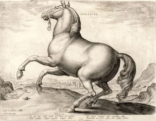 Gallicus da série Cavalos do estábulo de Don Juan da Áustria (gravura em wove)