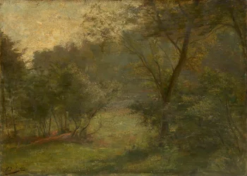 Vista da floresta